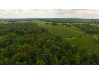 TRACT 71 - ILLINOIS LAND AUCTION - 4,810+/- ACRES OFFERED IN 85 TRACTS IN FRANKLIN, WILLIAMSON, HAMILTON & SALINE COUNTIES, ILLINOIS